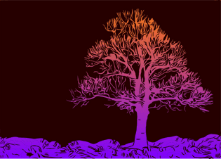 Заколдованный дуб