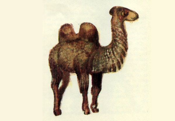 Верблюд сделанный Великим Напи