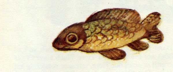 Рыба сделанная Великим Напи