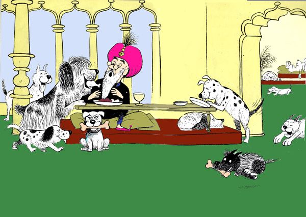 собаки лакомились сыром