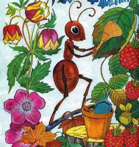 Поселился муравей