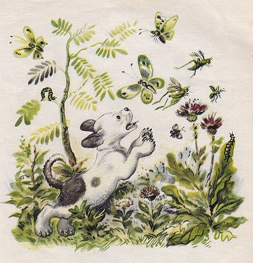 Бросился Щенок ловить их