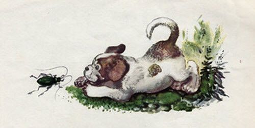 Догнал его щенок, хотел схватить