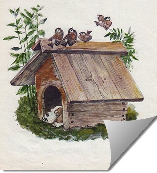 Забился в конуру и нос высунуть боится