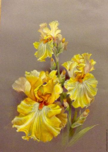 Стих Жёлтые ирисы читать для детей онлайн из коллекции про природу цветы