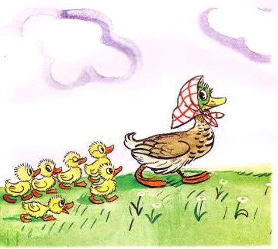 Крякает знаменитый утёнок Тим